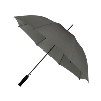 gp-31-pms cool gray 9c-side