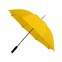 gp-31-pms yellow c-side