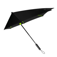 st-12-lime-side