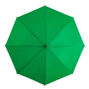 gp-31-pms348c-top