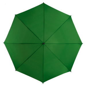 gp-6-pms348c-top